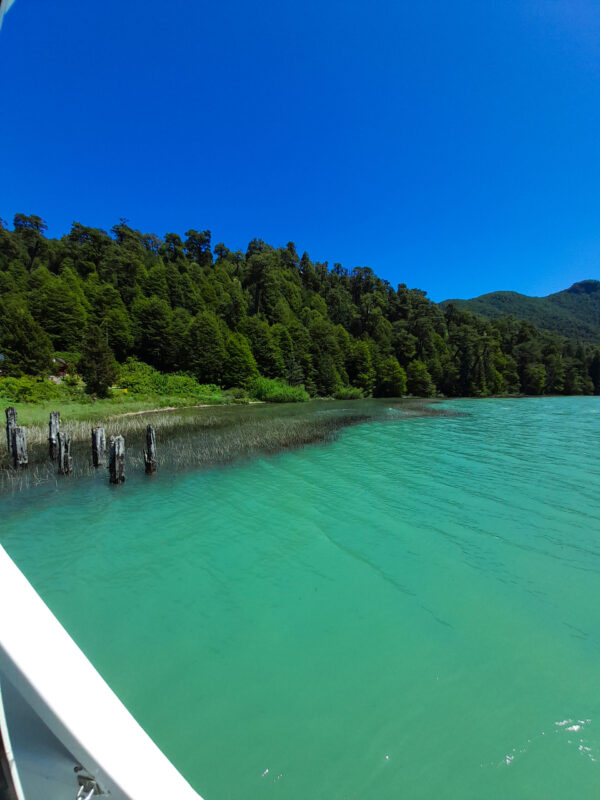 1-D-20211209_123259-scaled